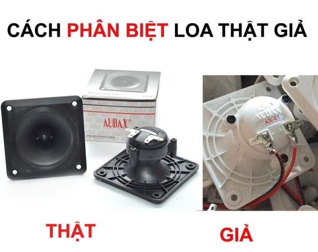 phân biệt loa Audax và Nestamp hàng nhái